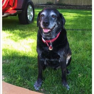 Meet your Posher, Sophia